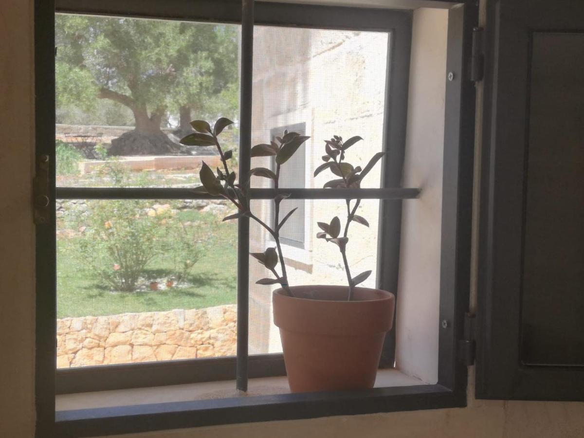Monolocale con Vista Giardino