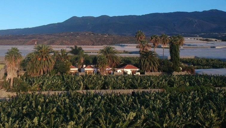 Villa Mary - B&B Tazacorte