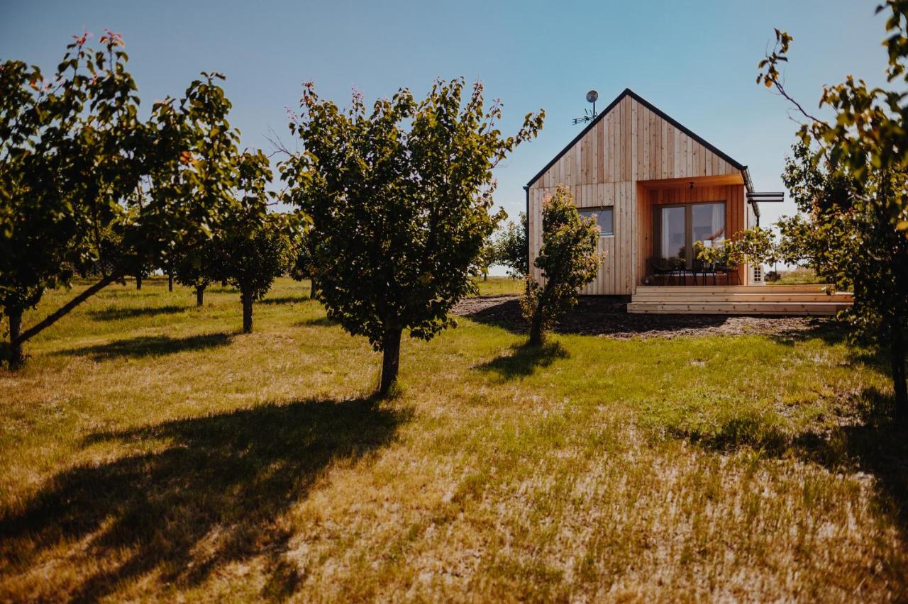Šaldorfské domky - B&B