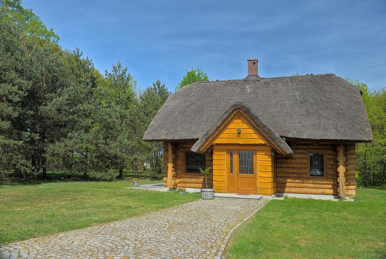 Dom pod sosnami - B&B Gryżyna