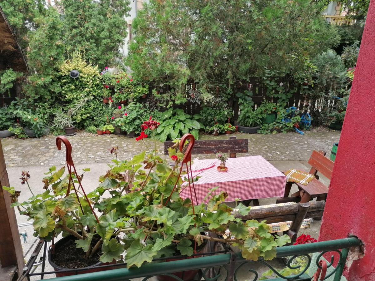 Etno Apartmani ''Vlaška kuća'' - Bed and Breakfast