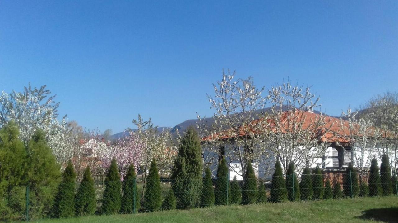 House Milovanovic - Ferienwohnung