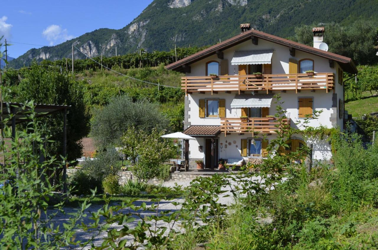 Cà Ulivi - B&B