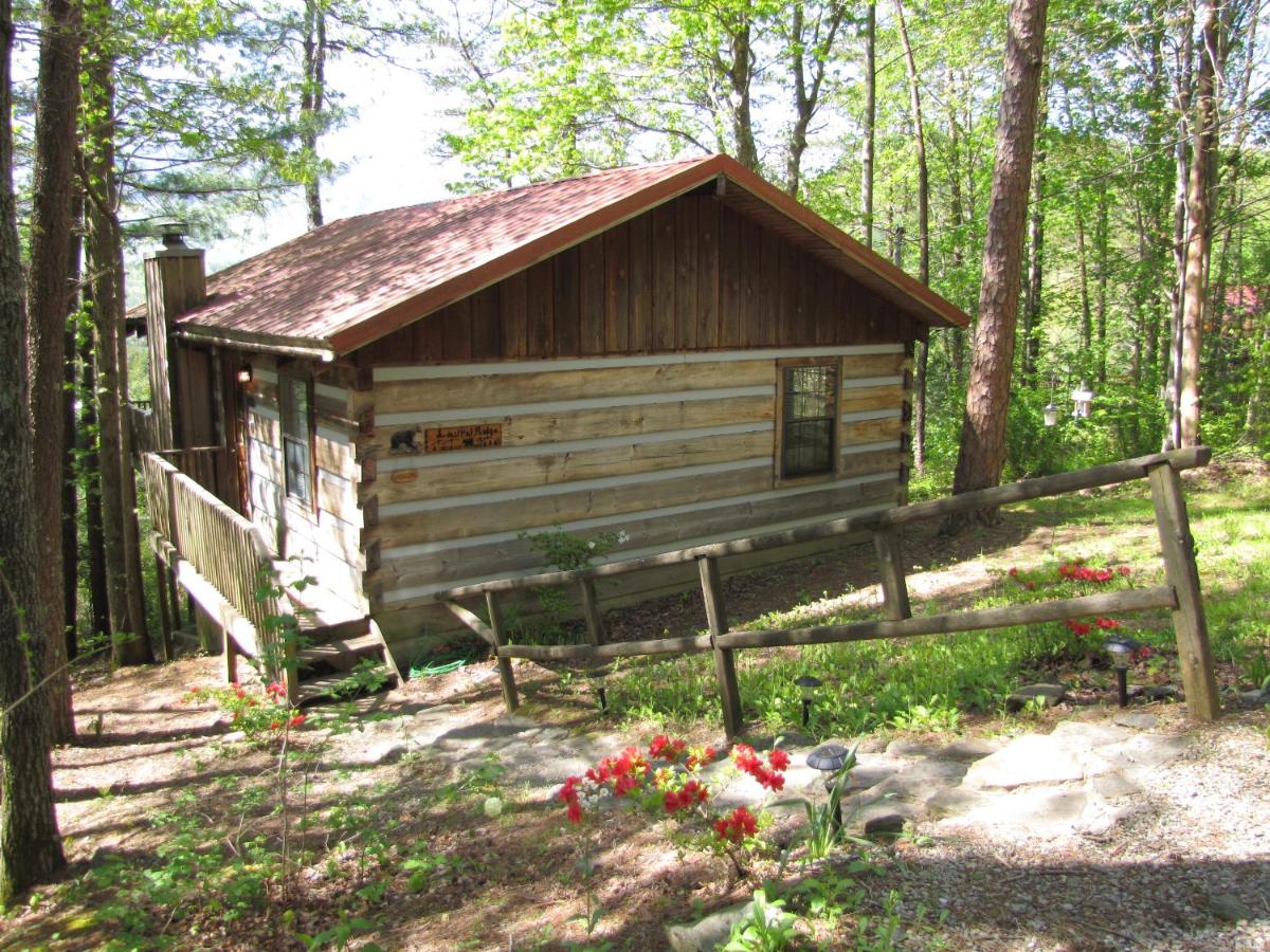 Laurel Ridge - Bed and Breakfast Townsend