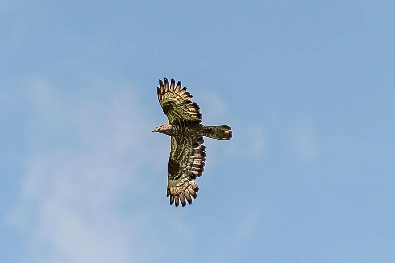 Foreserhof - B&B Faè
