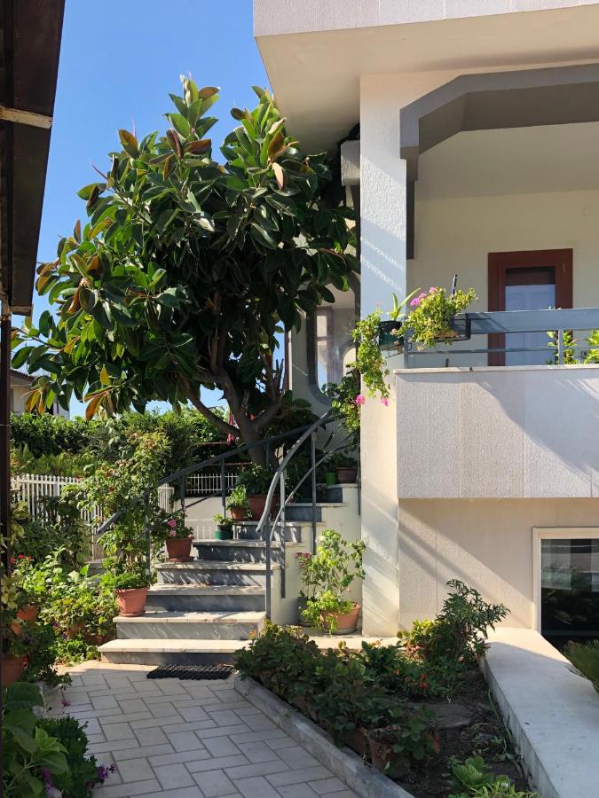 Double Room with Patio