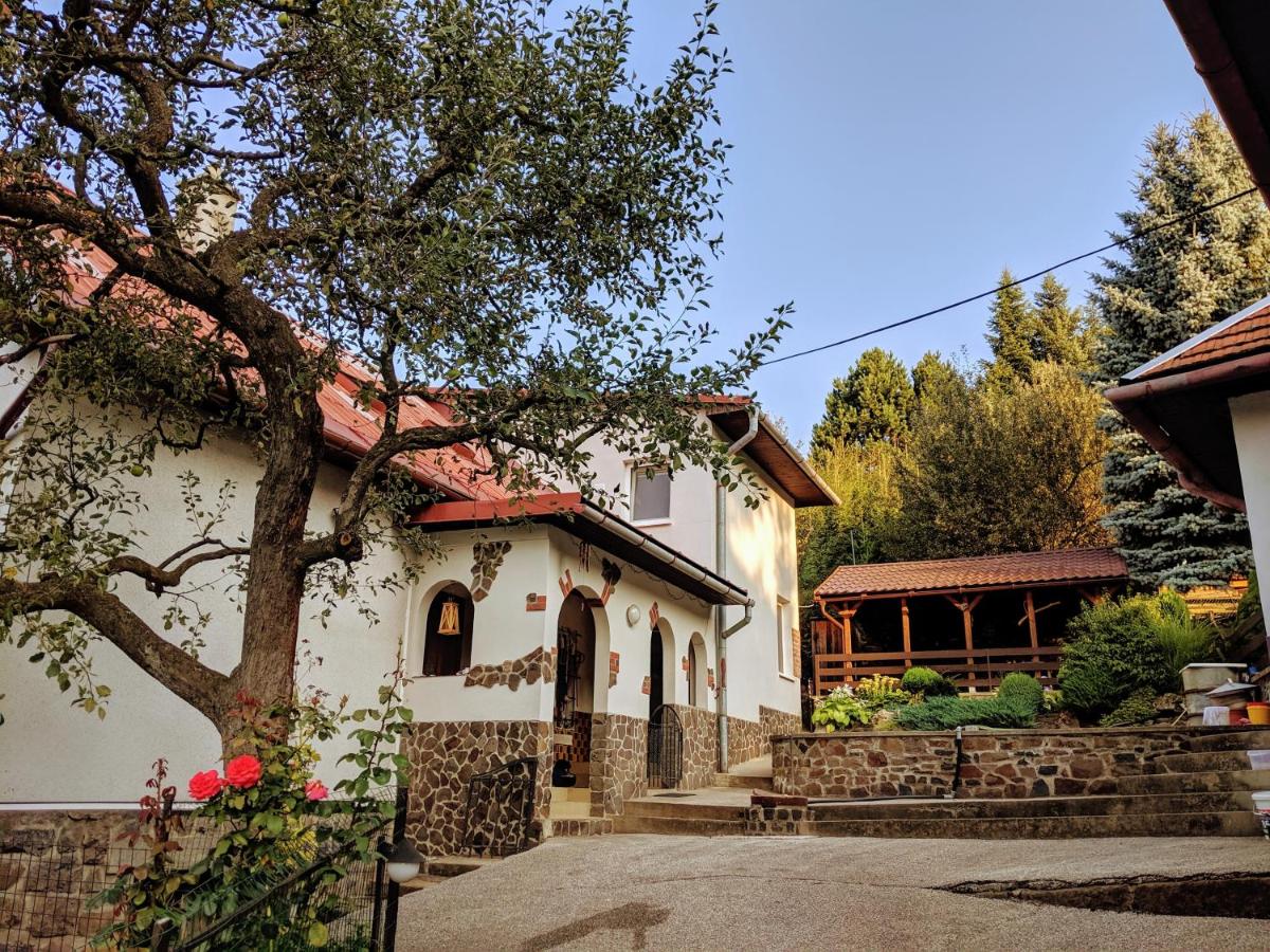 The Magical Paths - B&B
