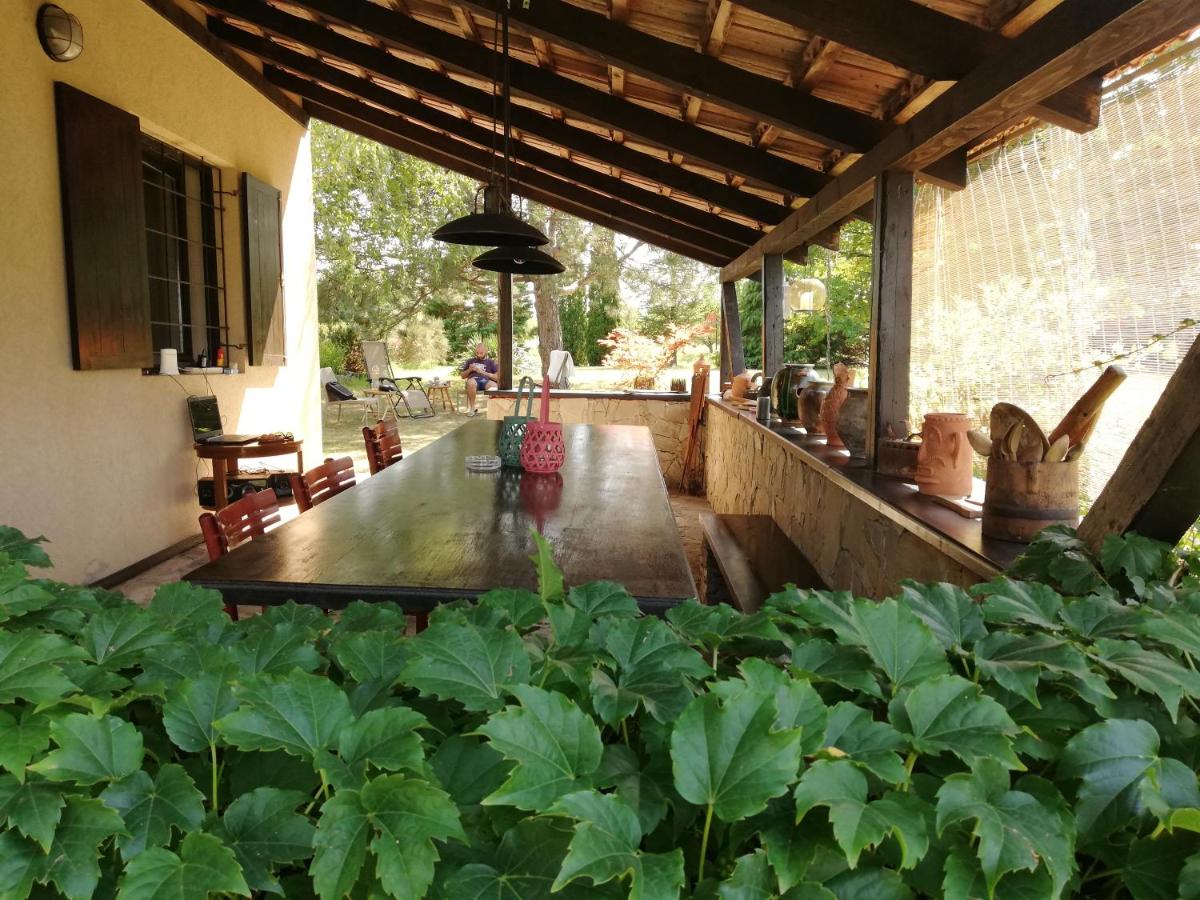 Vila Timok - B&B Zaječar