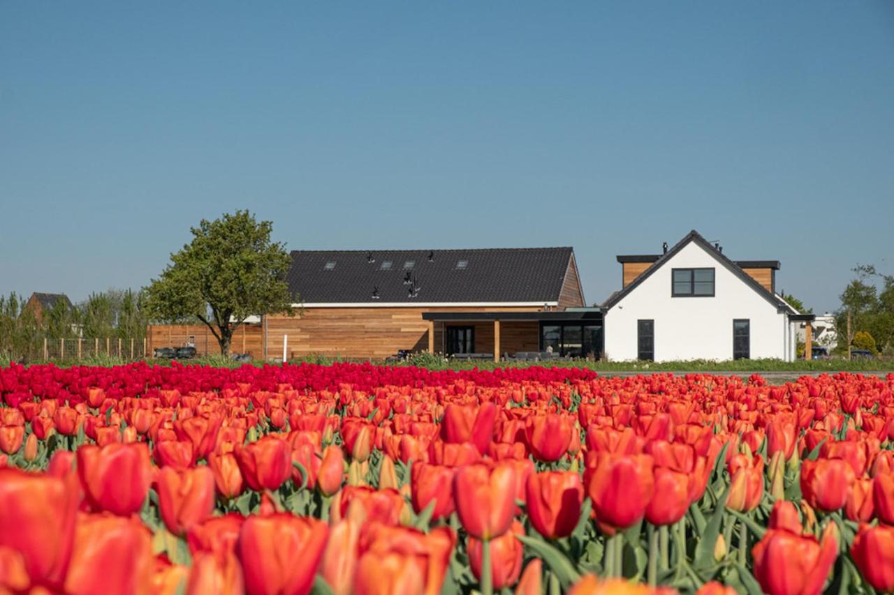 B&B de Cley - Bed and Breakfast Noordwijk-Binnen