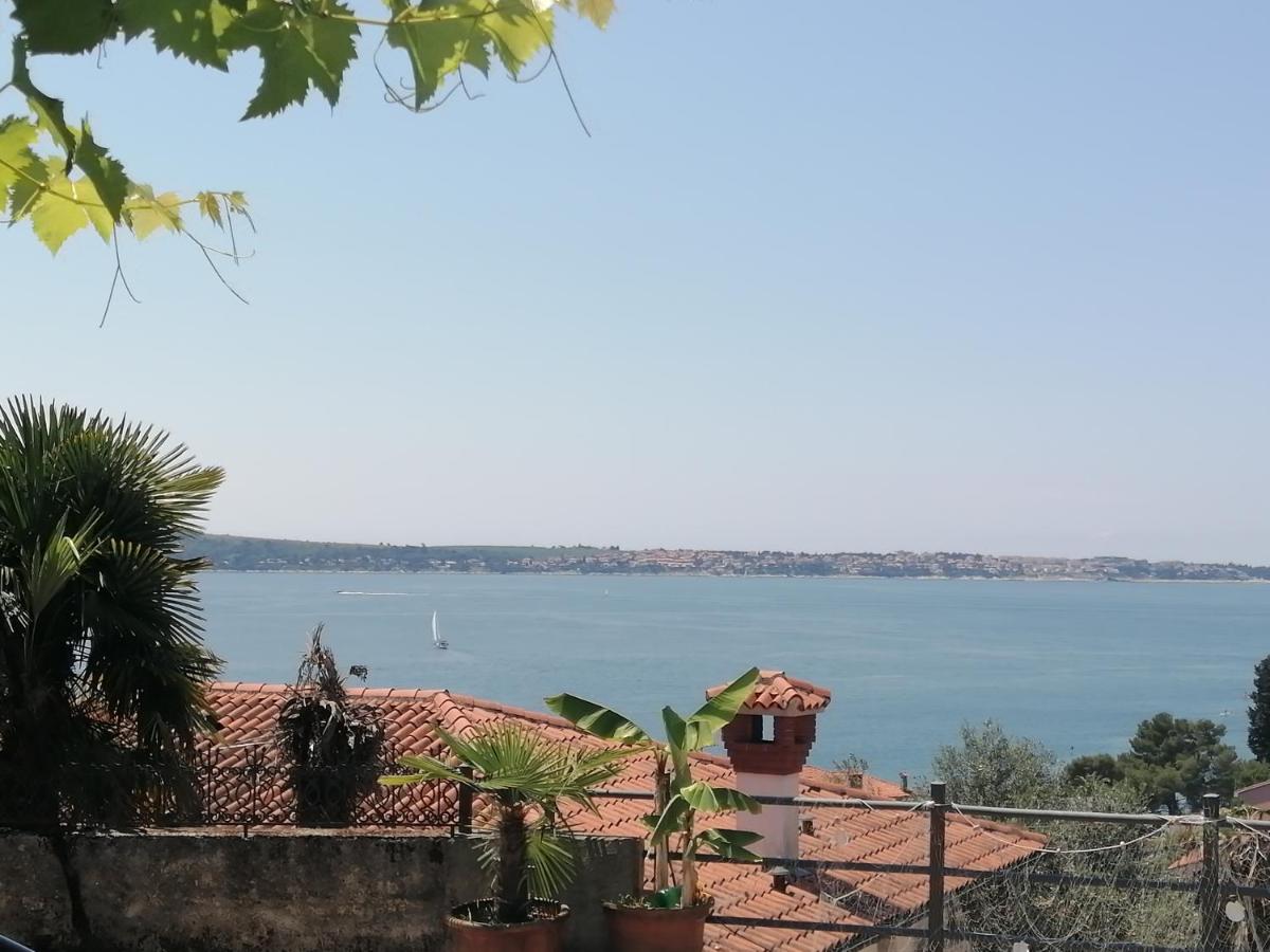 Apartma Gaia - B&B