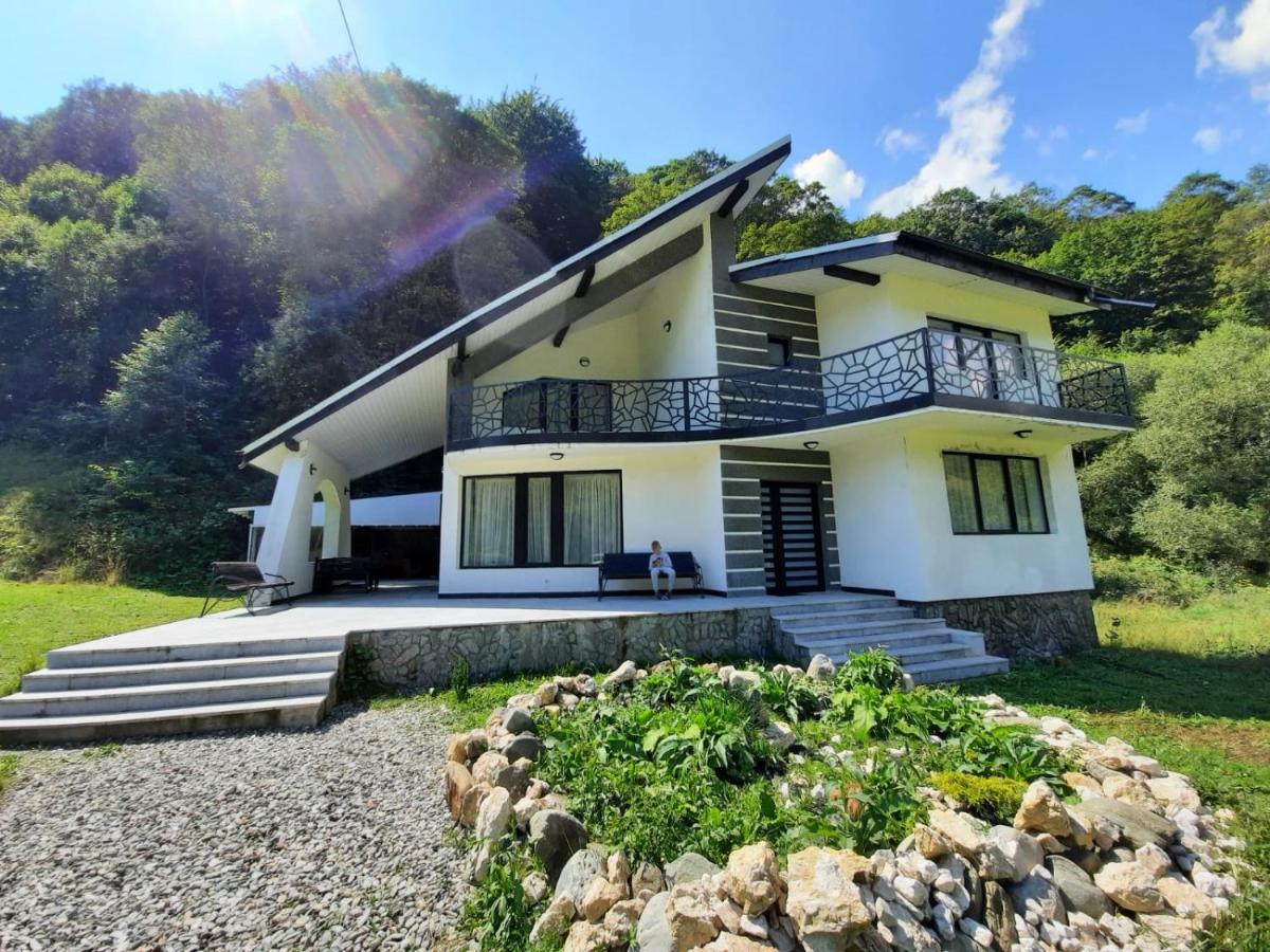 Black&white - B&B