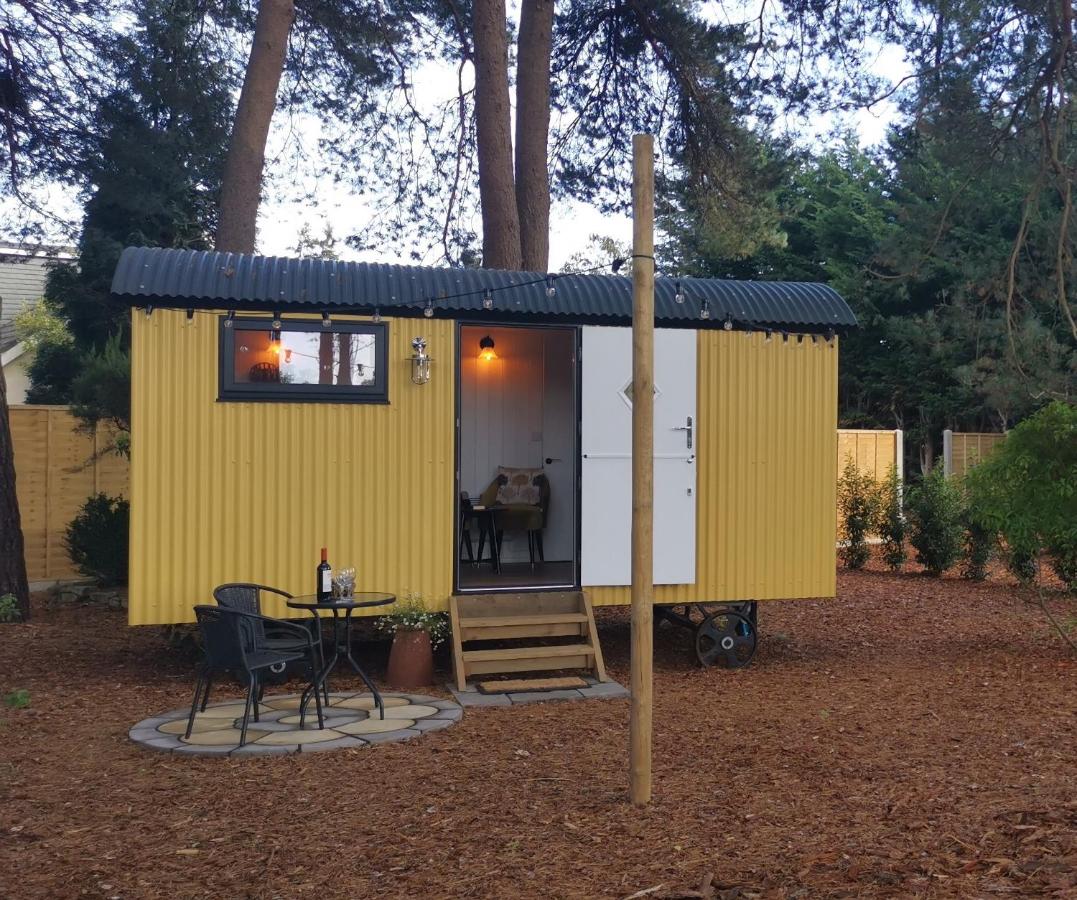 Forest Heath Shepherd's Huts - B&B