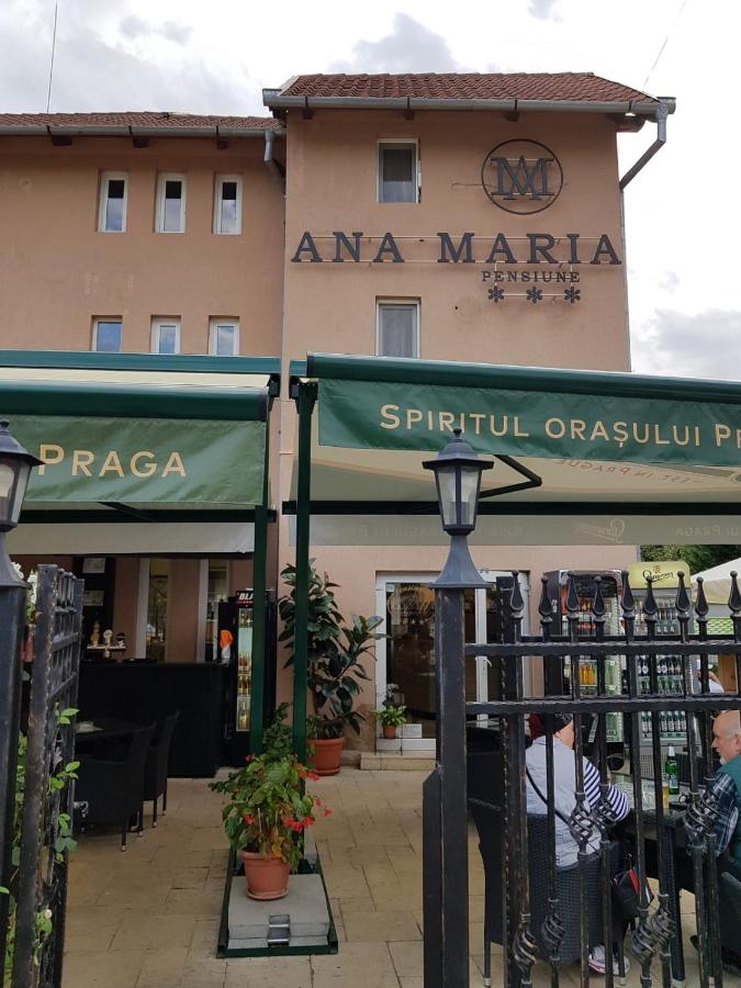 Pensiunea Ana Maria - Chambres d’hôtes Băile Felix