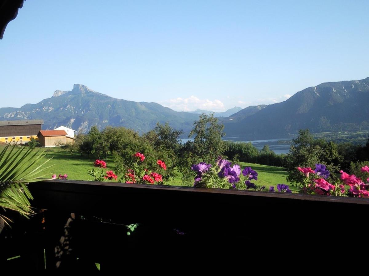 B&B Mondsee - Dirnbergerhof - Bed and Breakfast Mondsee