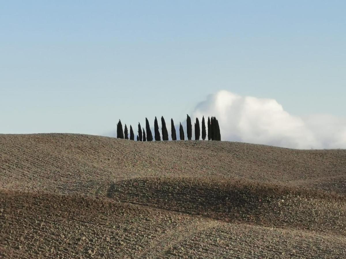 Goccia in Valdorcia Smart Home - B&B