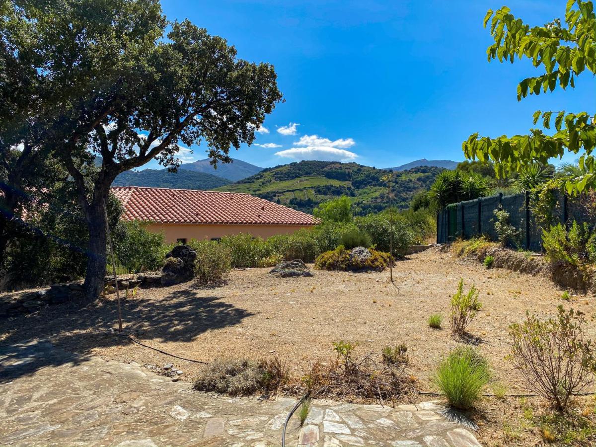 4AMB2 Villa de caractère avec piscine collective - B&B Collioure