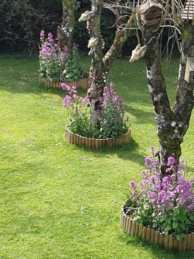 Richlands Homestay - B&B Tondu