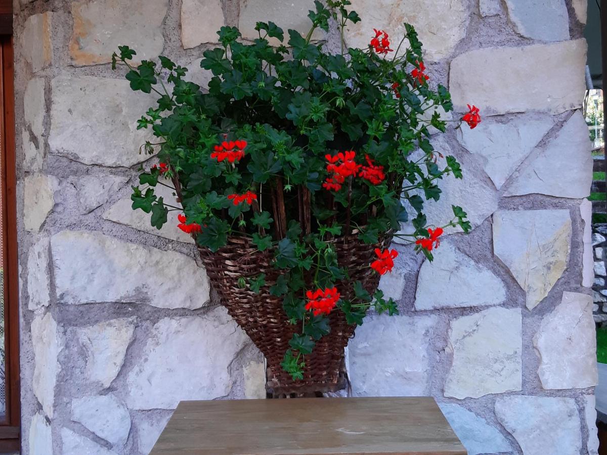 TAULA' DEI CARLE - Bed and Breakfast Vodo di Cadore