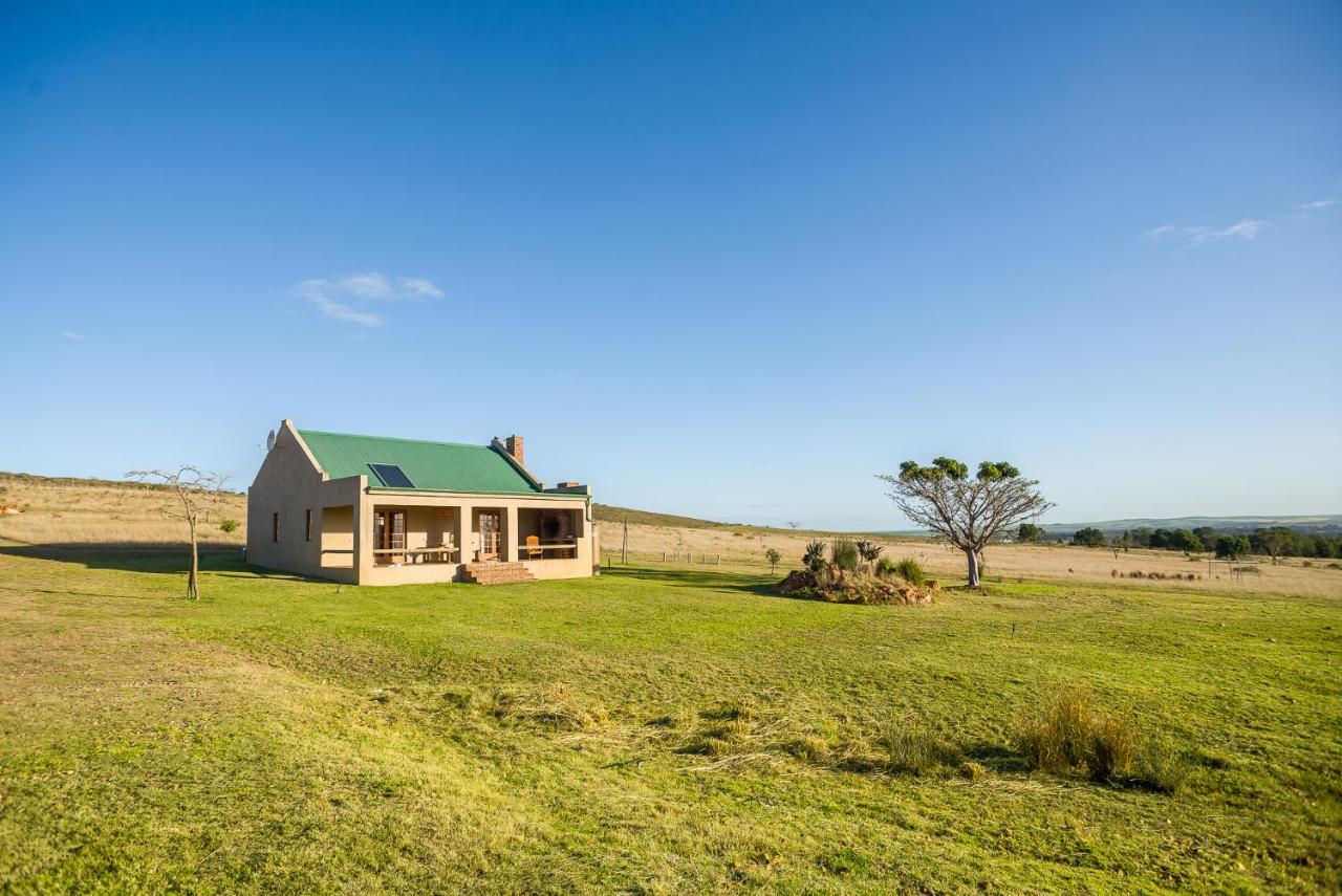 Kwetu Guest Farm - B&B Swellendam