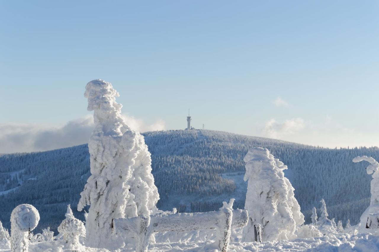 Appartamento con Vista Montagna