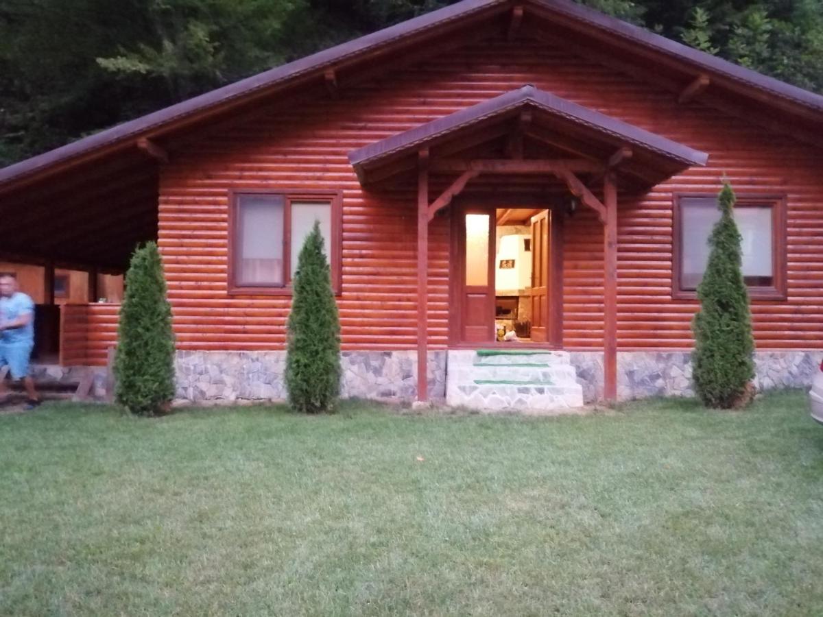 Cabana Dan - B&B Şugag