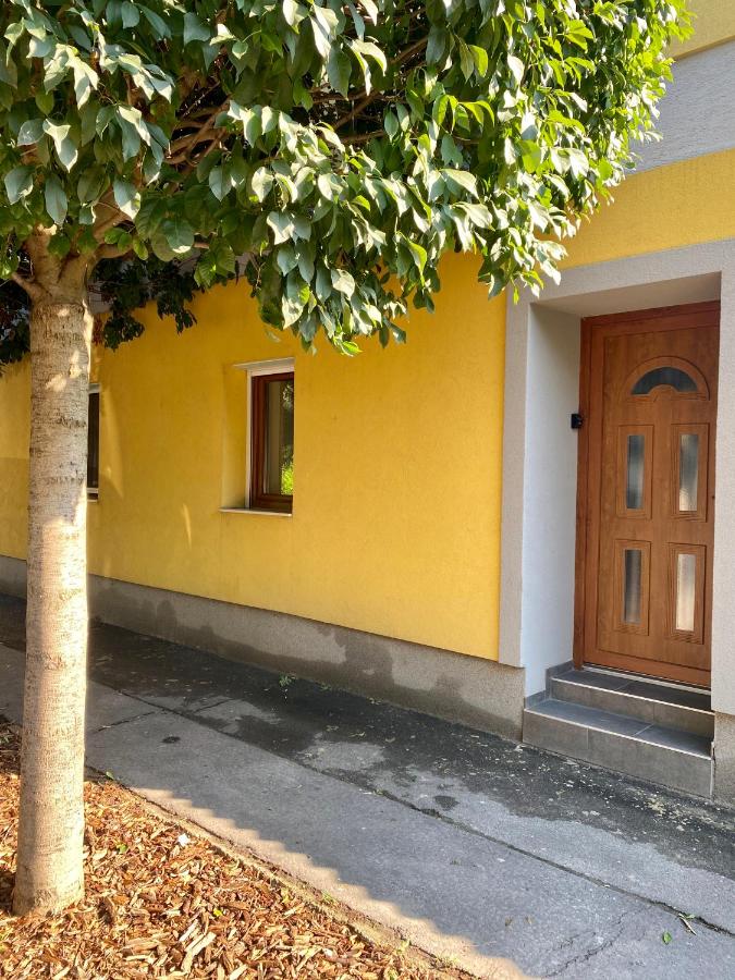 Árvíz Apartman - B&B