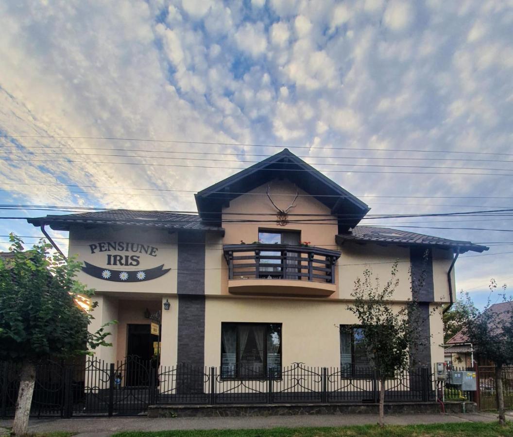 Pensiunea Iris - B&B