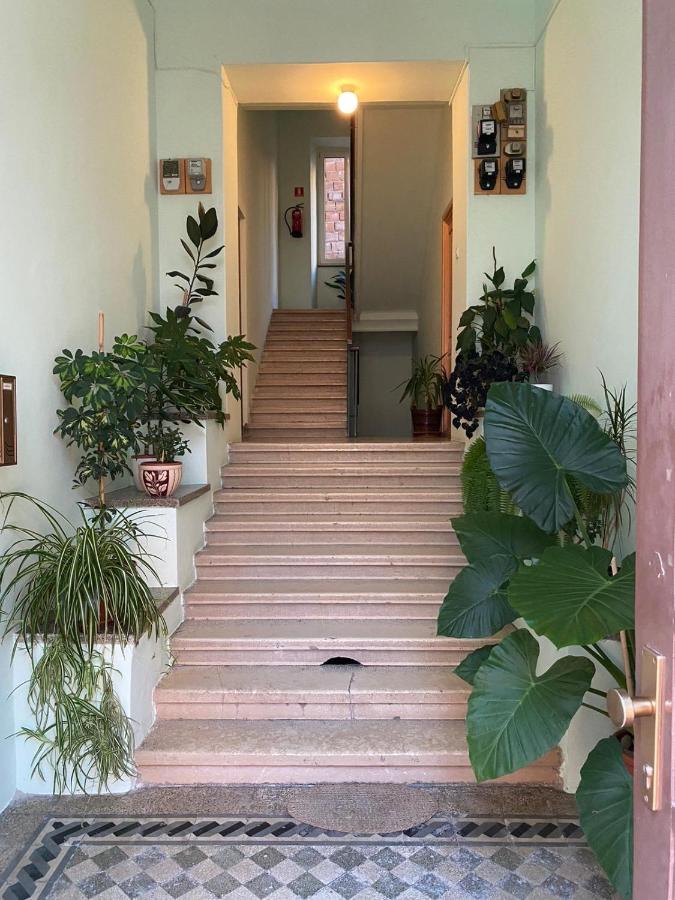 CAVE Design Apartment Pula - Ferienwohnung Pula