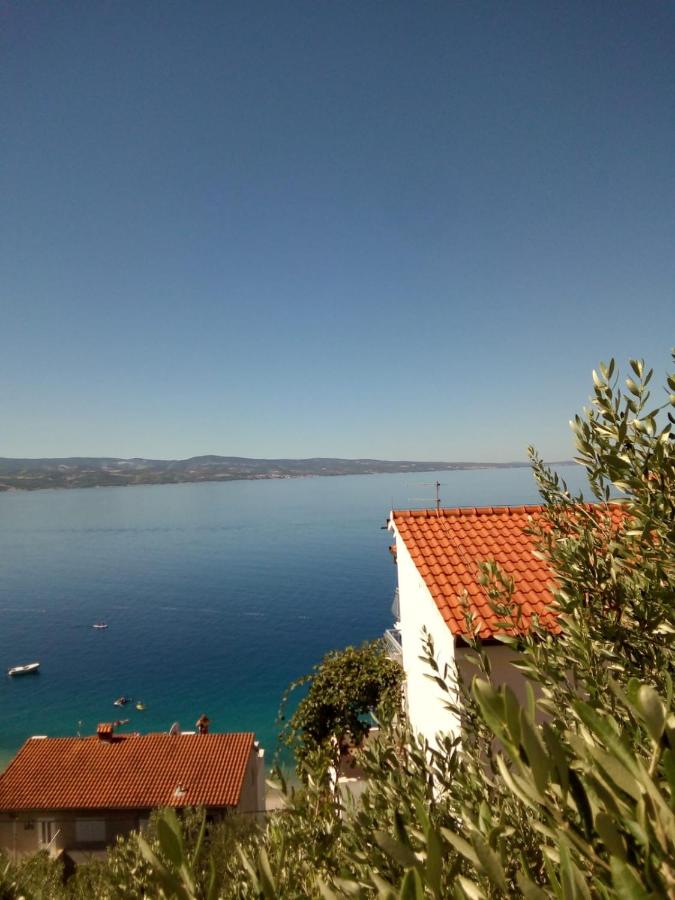 Studio with Sea View