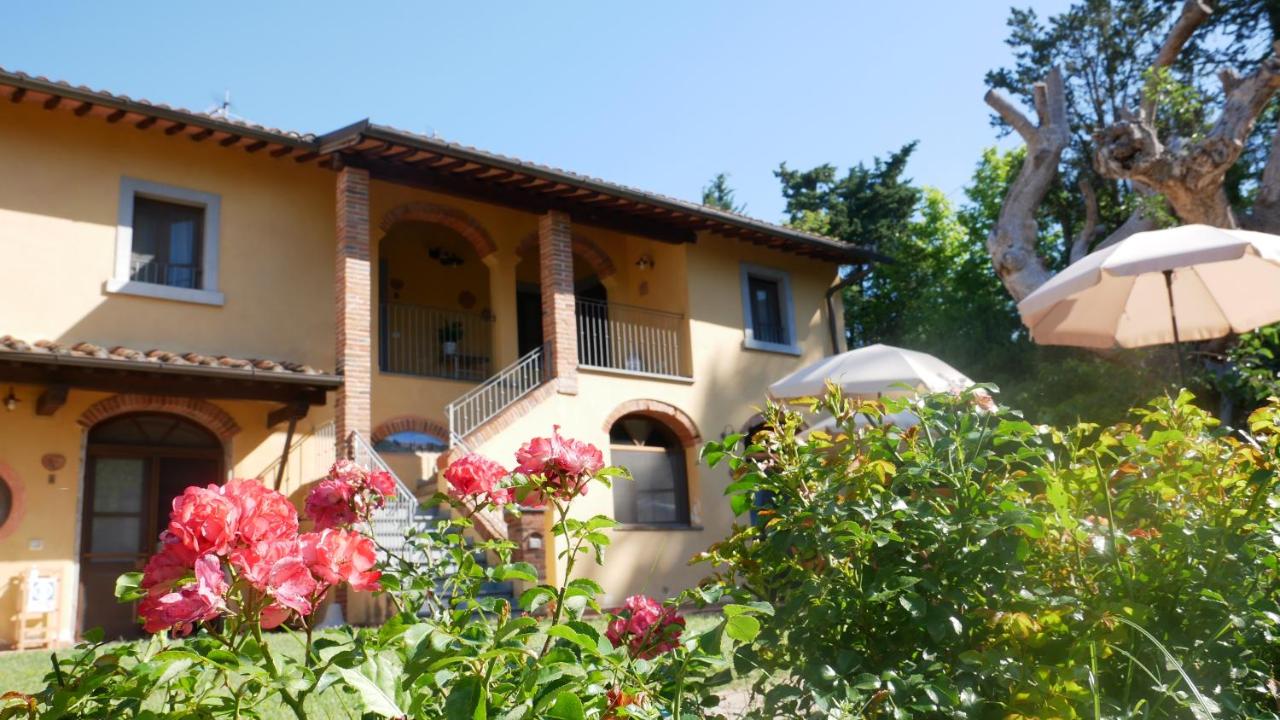 B&B Montopoli in Val d'Arno - Il Gelso - Bed and Breakfast Montopoli in Val d'Arno