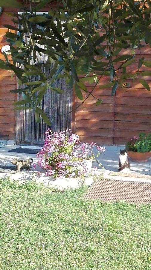 'O Chalet - B&B
