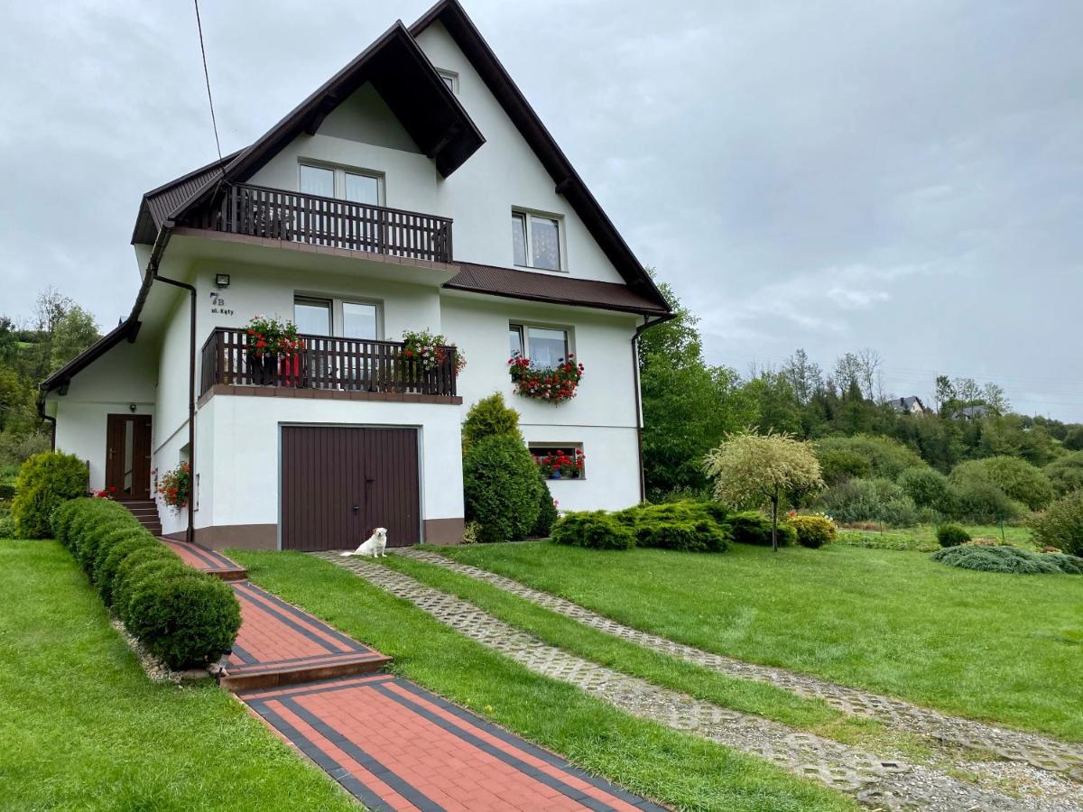 Studio w Pieninach - Ferienwohnung