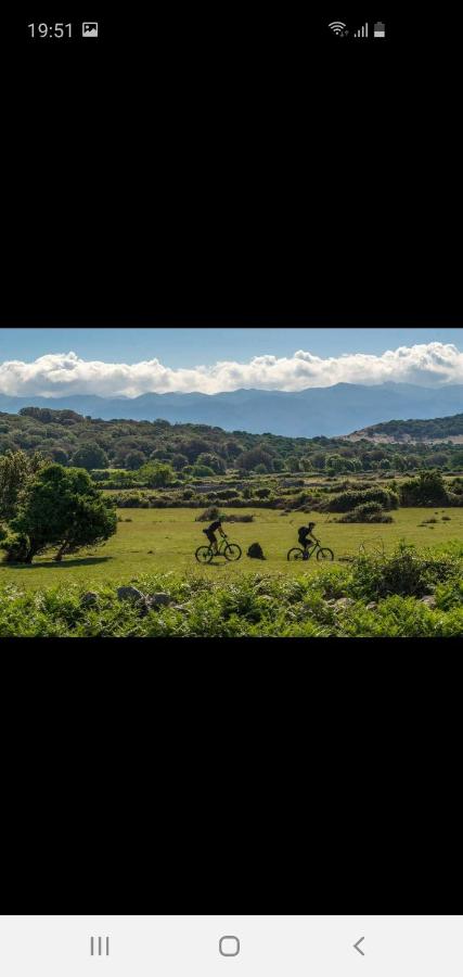 Apartment mit Meerblick