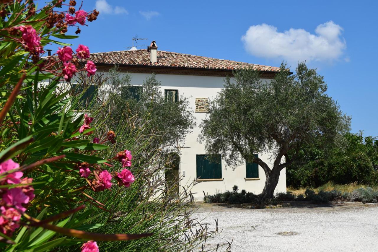 B&B Saludecio - Borghetto Country Apartments - Bed and Breakfast Saludecio