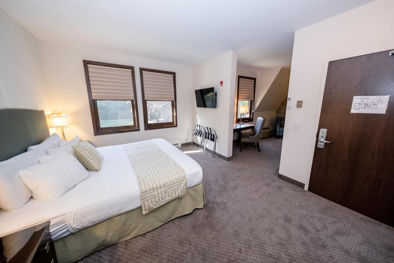 Estudio con cama extragrande y sofá cama