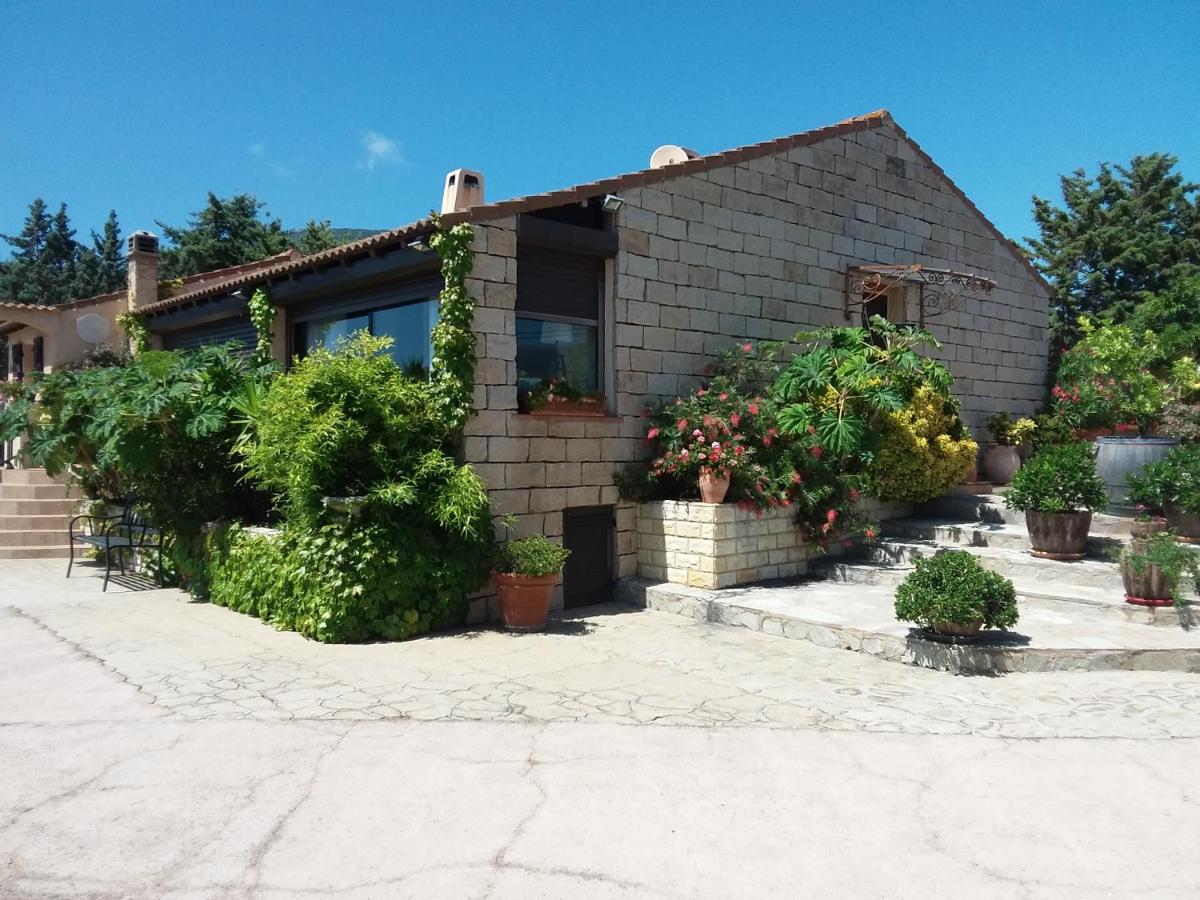 Magnifique villa piscine Propriano - Ferienwohnung