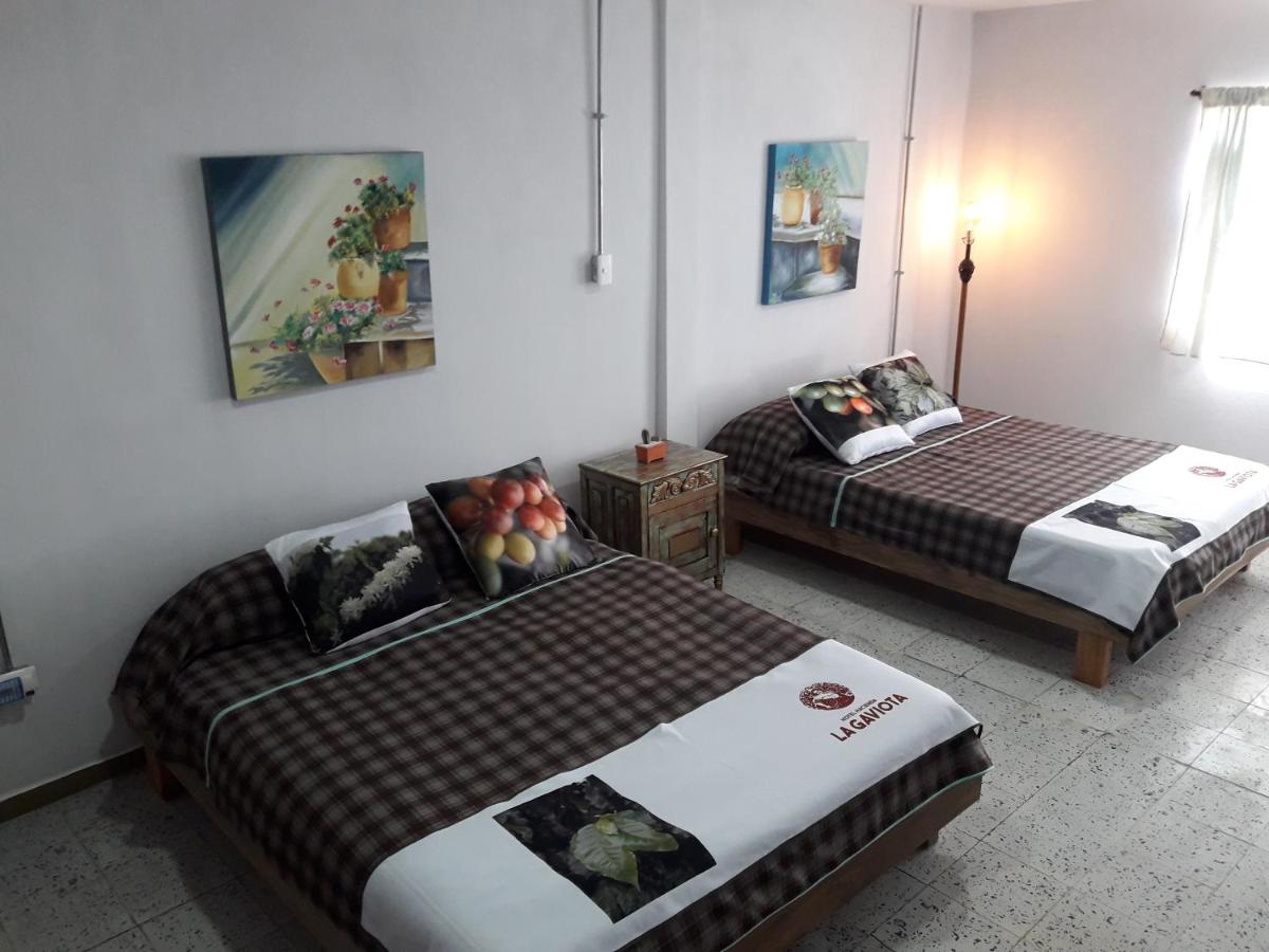 Double Room with Two Double Beds