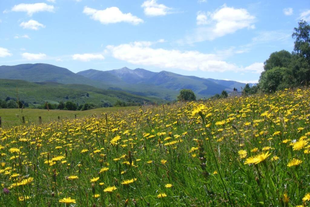 Cul Darach Lodge, Glen Roy Nature Reserve - B&B