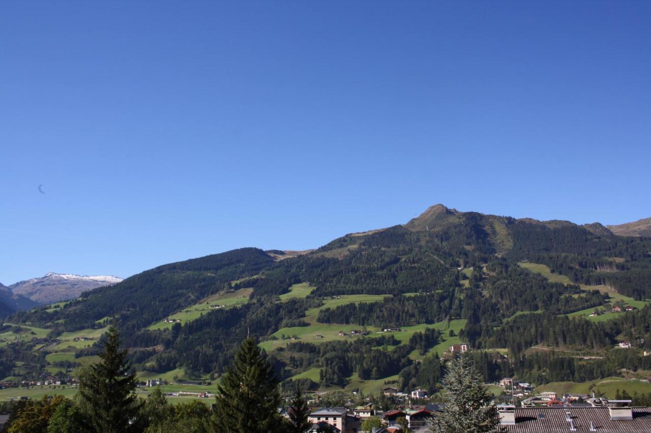 Apartment mit 1 Schlafzimmer und Balkon