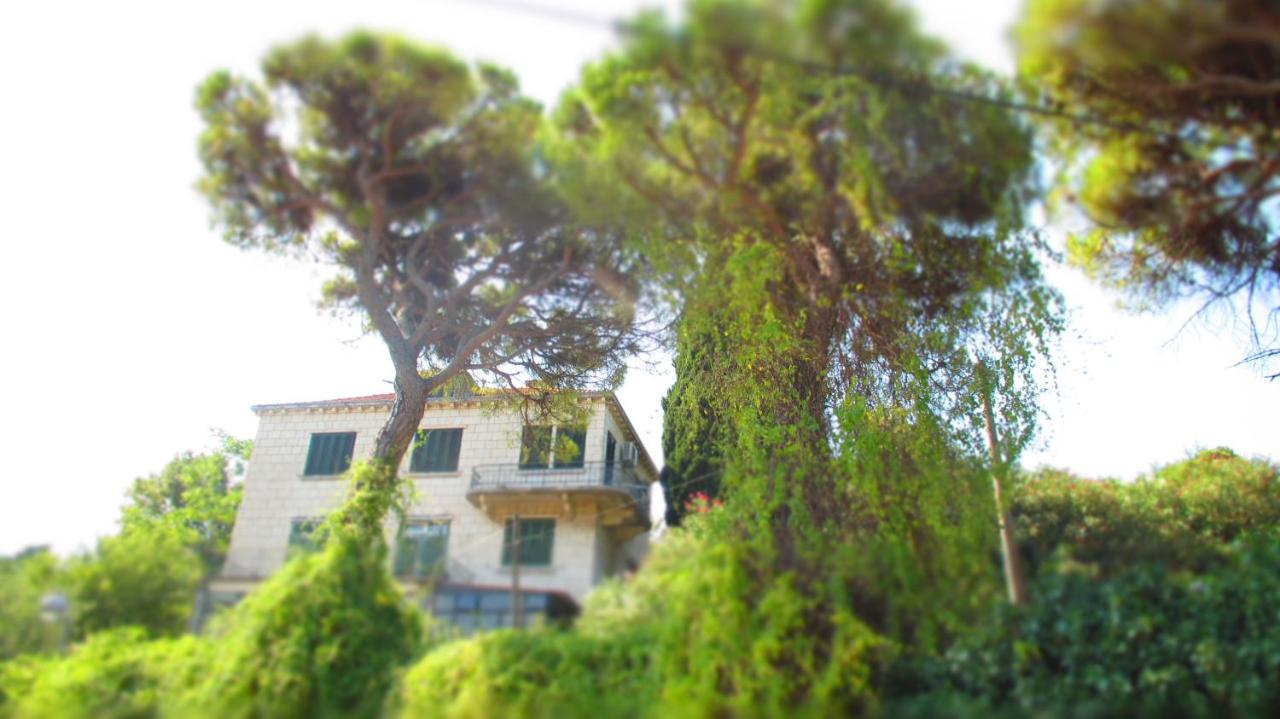 Apartment Dubrovnik Surprise - B&B Dubrovnik