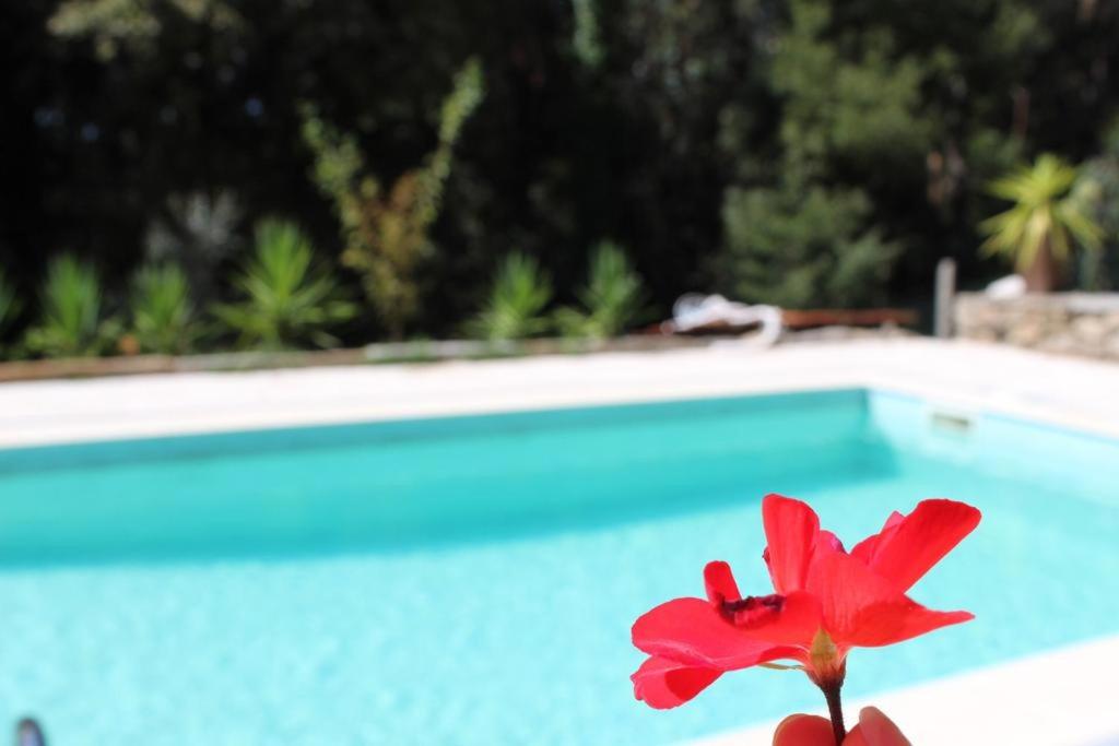 Bosque dos Amieiros - Bed and Breakfast