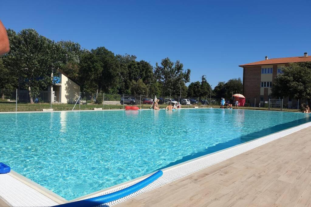 B&B Calambrone - Residance il Piviere app 37 - Bed and Breakfast Calambrone