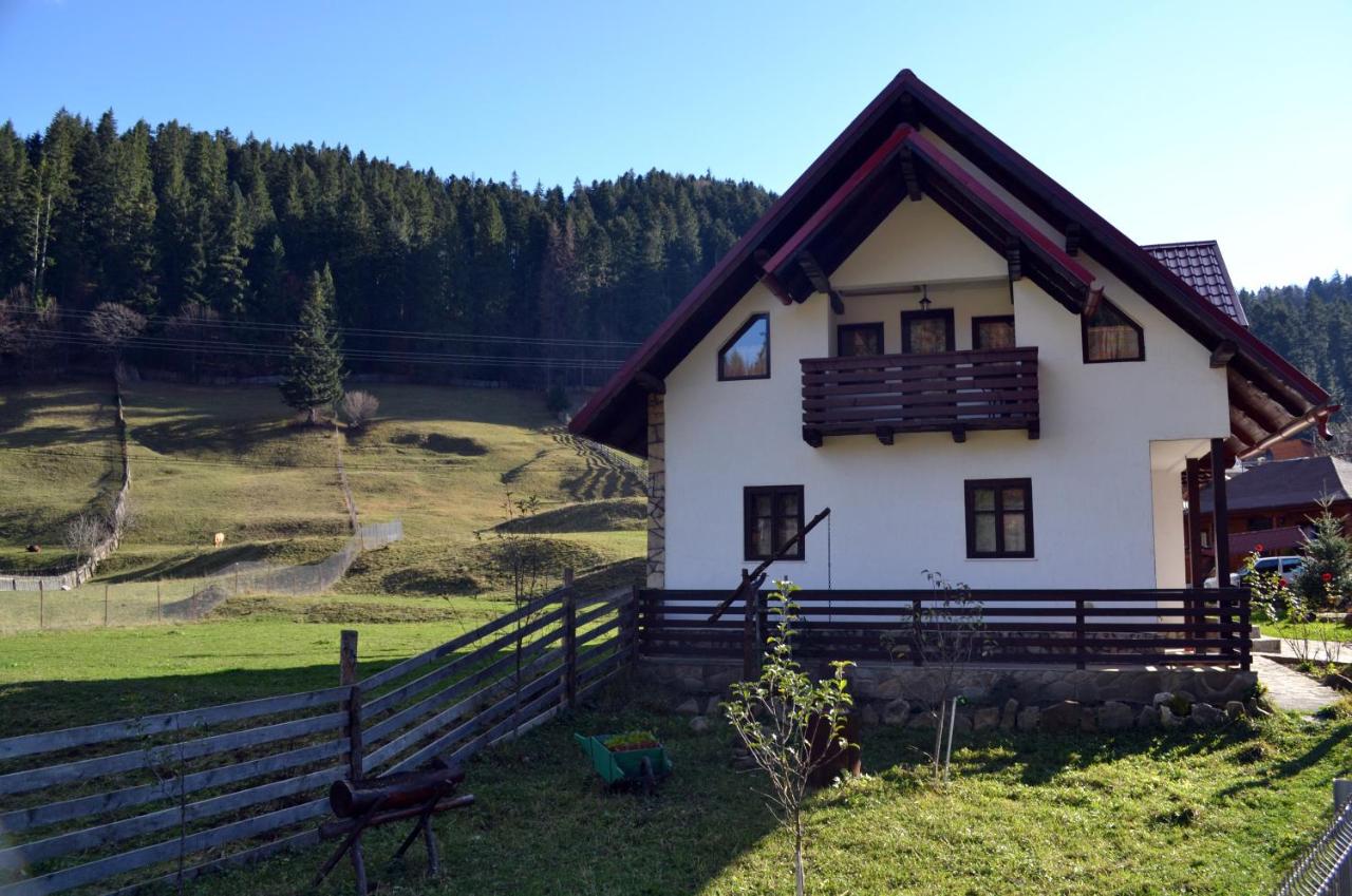 Pensiunea Daria Putna - Ferienwohnung