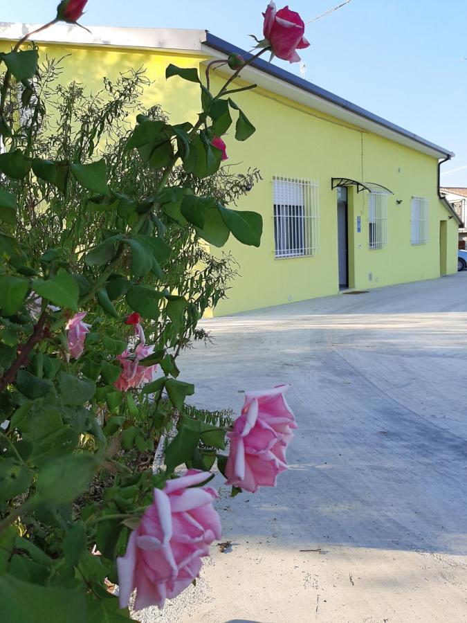 B&B La Casa di Paolo - B&B