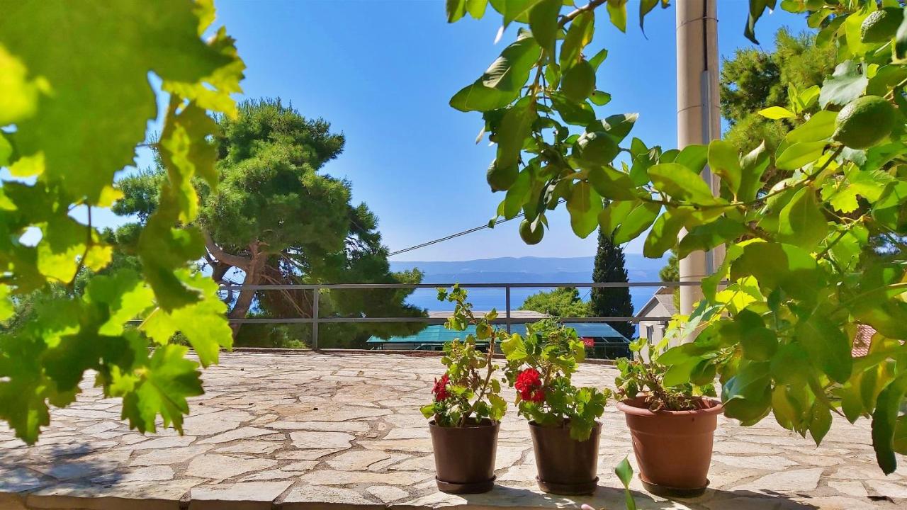 Apartments Gajo - B&B Omiš