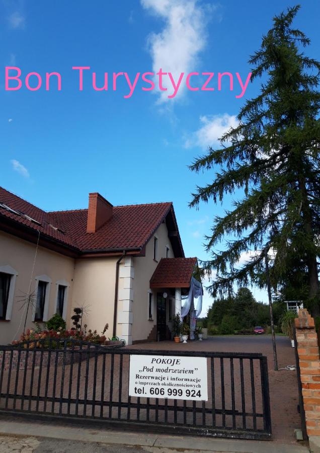 Pensjonat Agroturystyczny Pod Modrzewiem - B&B