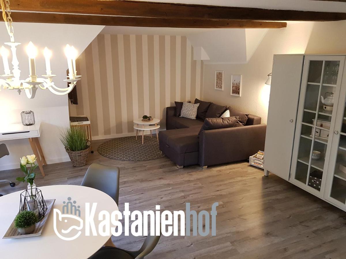 B&B Oetzen - Neu renovierte Ferienwohnung mit Poolhaus & Sauna auf dem Bauernhof - Bed and Breakfast Oetzen