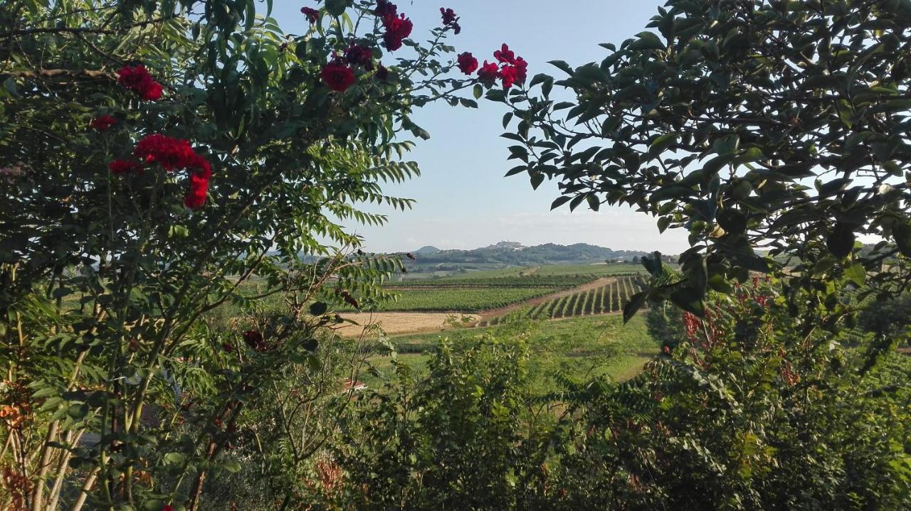 Agriturismo La Chiesina - Ferienwohnung