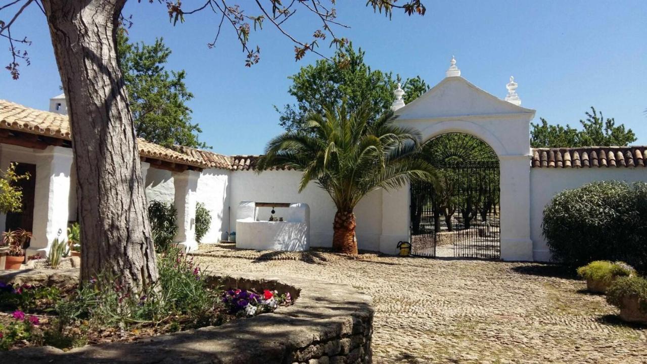 Beautiful Cortijo with pool near Ronda - Chambres d’hôtes