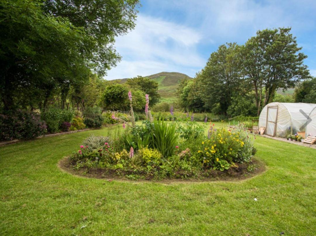 Hillview Holiday Home - B&B Clonmany